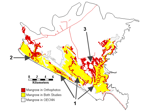 Mangrove in current study, but not in OECNN
