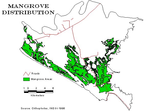 Mangrove Distribution