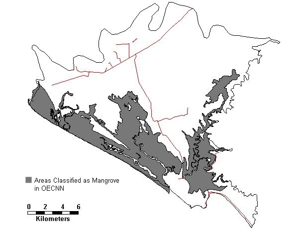 OECNN Mangrove Distribution